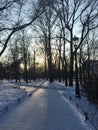 Snow-covered Alexander Garden in St. Petersburg